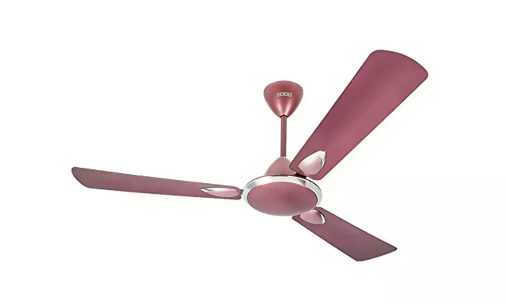 Usha Celling Fan 1200 MM Striker Platinum Lavendar Chrome-GBD Lavendar Chrome