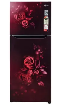 LG Double Door Refrigerator 272 Litres 2 Star Inverter GL-S312SSEY Scarlet Euphoria