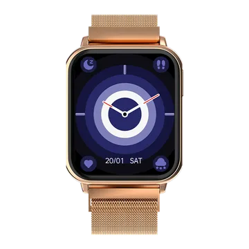Fire Boltt Smart Watch 45.2mm (1.78 Inches) King BSW159 Gold SS
