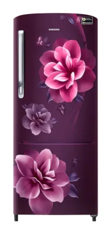 Samsung Single Door Refrigerator 223 Litres 3 Star Inverter RR24C2723CR Camellia Purple
