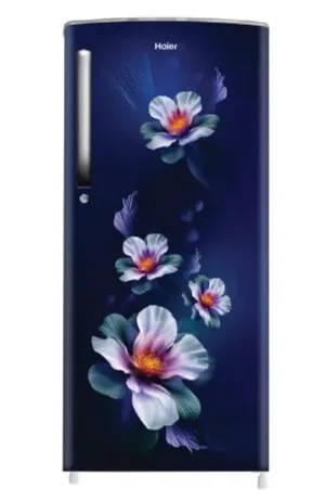 Haier Single Door Refrigerator 235 Litres 2 Star Inverter HRD-2562CMK-N Marine Karen