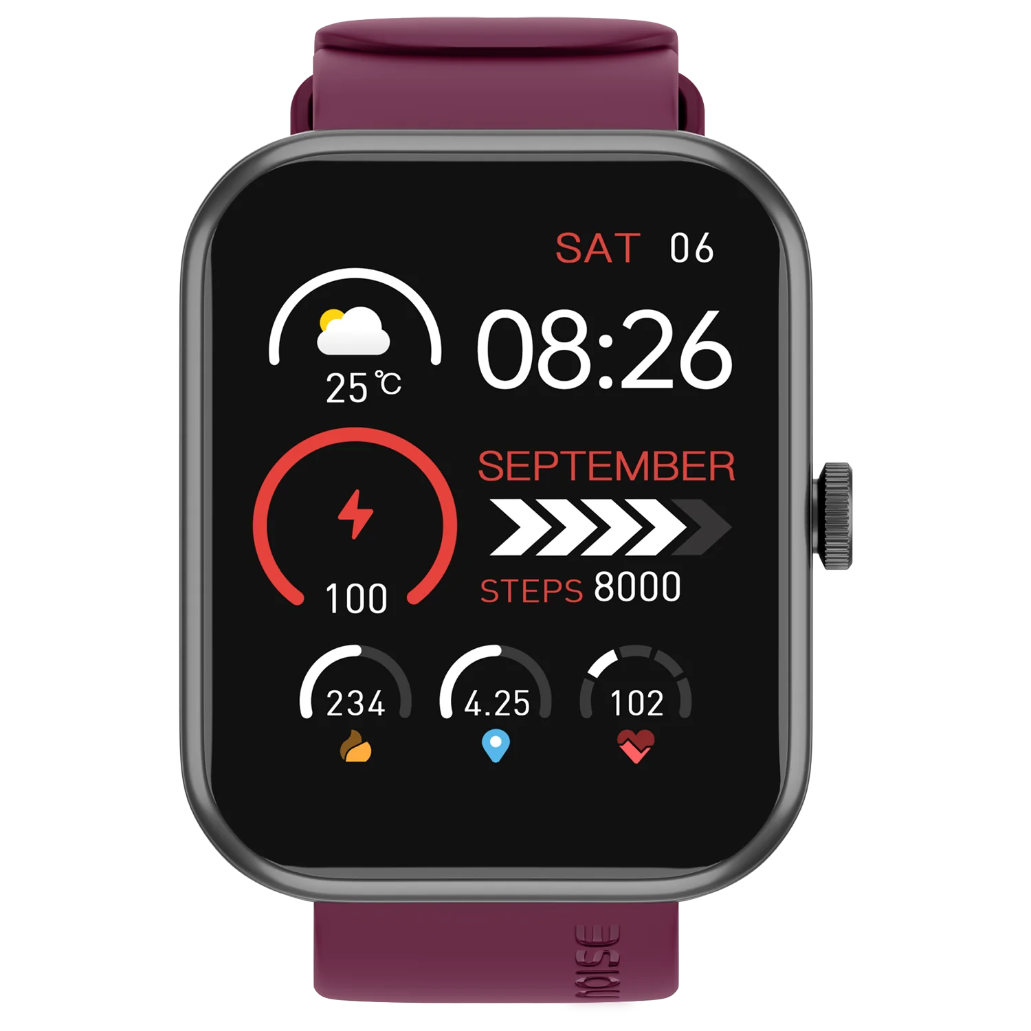 Noise Smart Watch 46.9 mm (1.85 INches) ColorFit Pulse Grand 3 Deep Wine