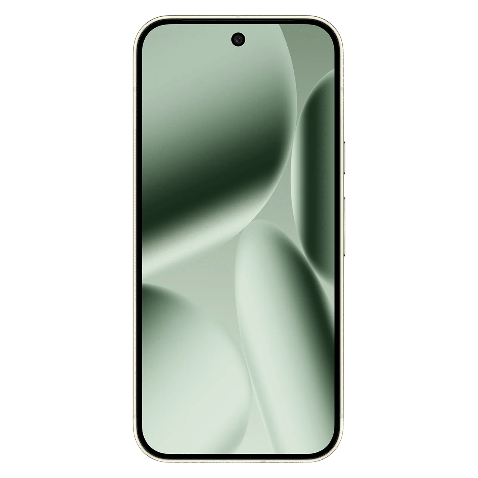 Google Android Smartphone Pixel 10 Pro (12GB RAM, 256GB Storage/ROM) GA10316-IN Jade