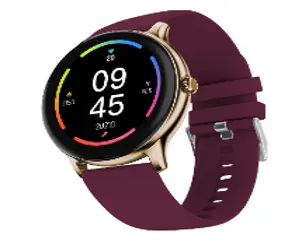 Fire Boltt Smart Watch 1.39 (inch) HD Display LOOP Burgandy